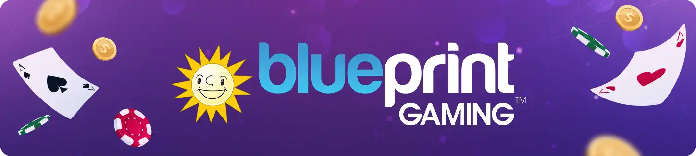 blueprint provider review