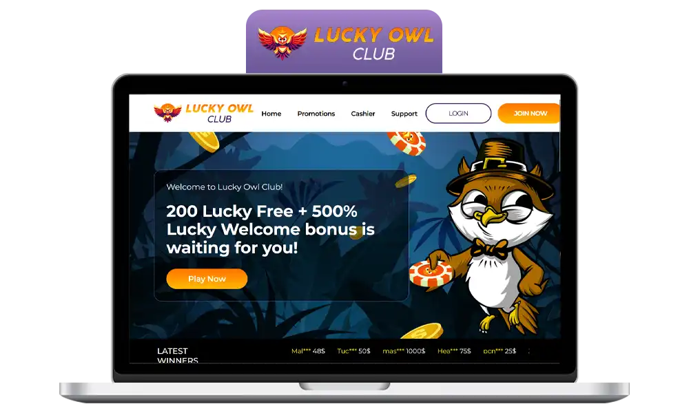 Interface of lucky owl bookmaker office